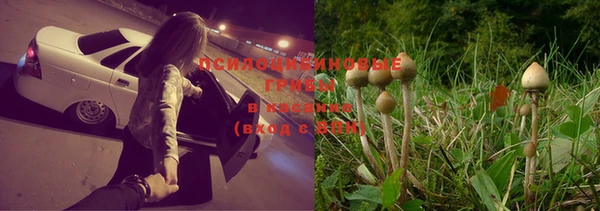 гашишное масло Абинск