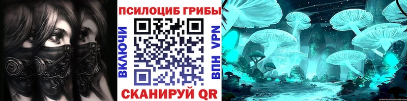 цена   Новочебоксарск  блэк спрут зеркало  Псилоцибиновые грибы прущие грибы 