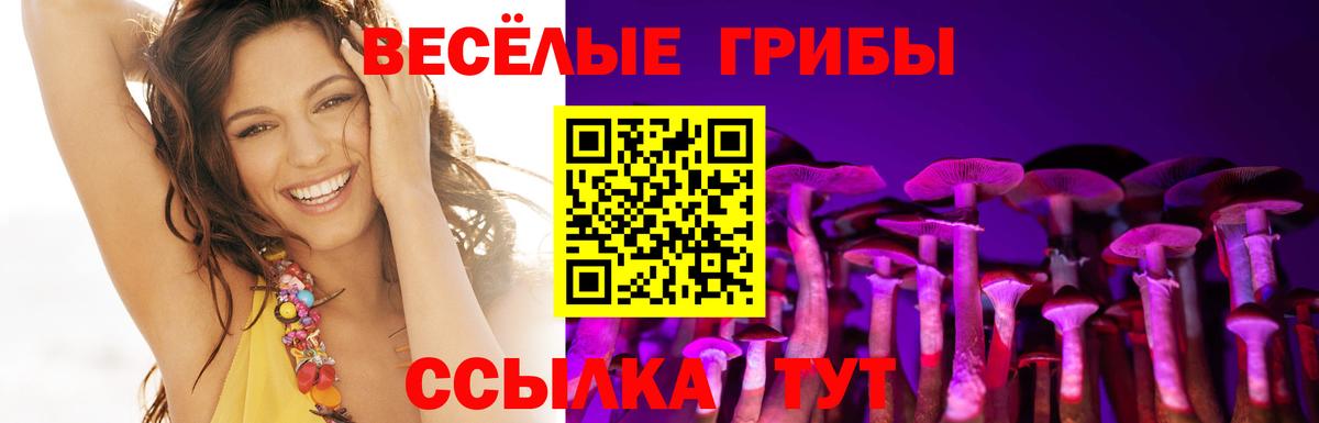 Галлюциногенные грибы мухоморы Новочебоксарск
